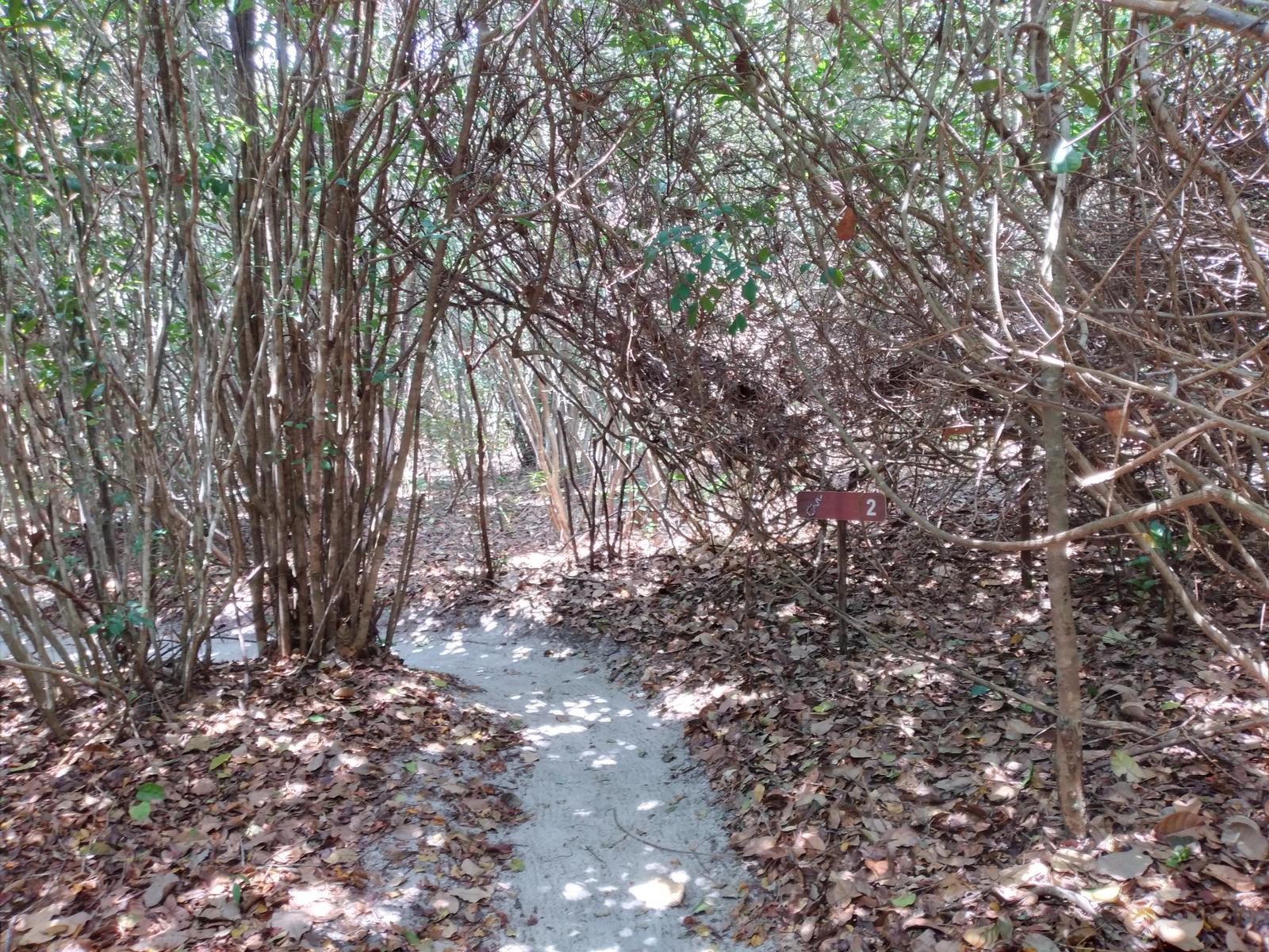 Área da trilha no Santuário Ecológico de Pipa