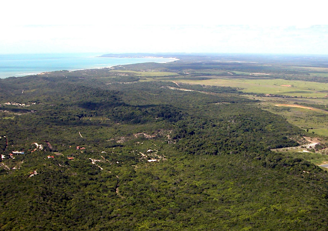 Vista do Parque Estadual Mata da Pipa