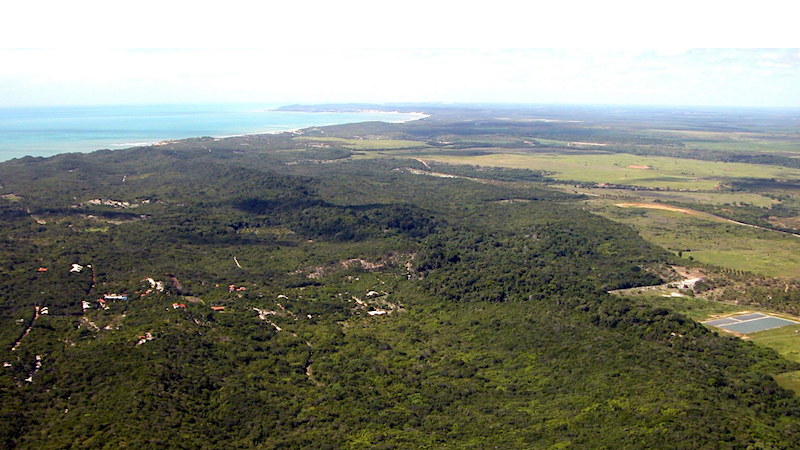 Vista do Parque Estadual Mata da Pipa